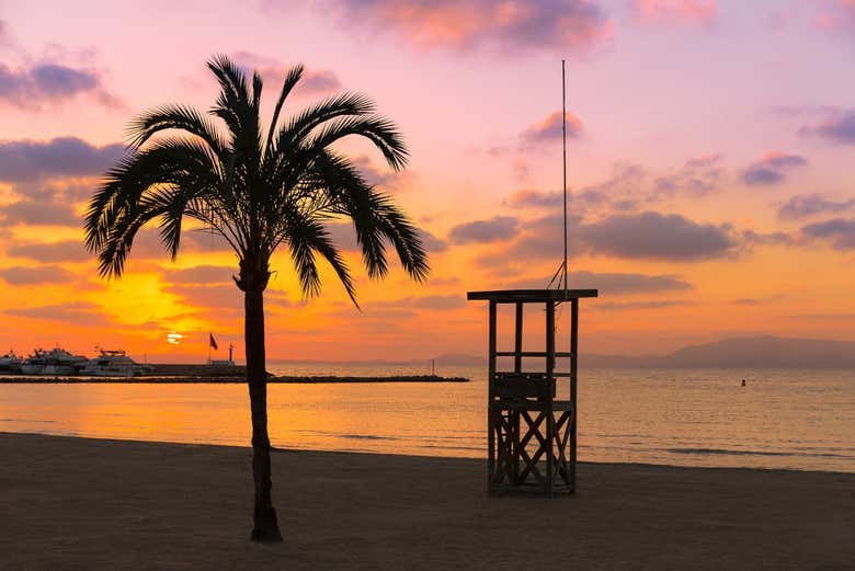 Atardecer en Mallorca