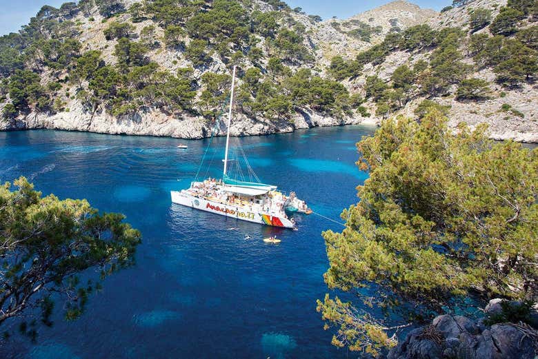 Navegando en catamarán por la bahía de Alcudia