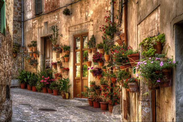 Excursión a Palma y Valldemosa