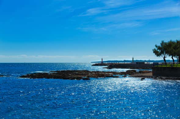 Paseo en catamarán por la costa este de Mallorca