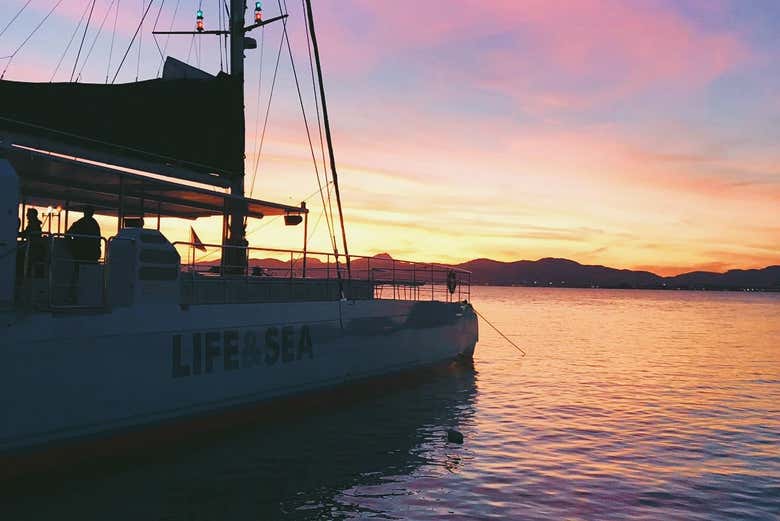 Navegando por la bahía de Palma al atardecer 