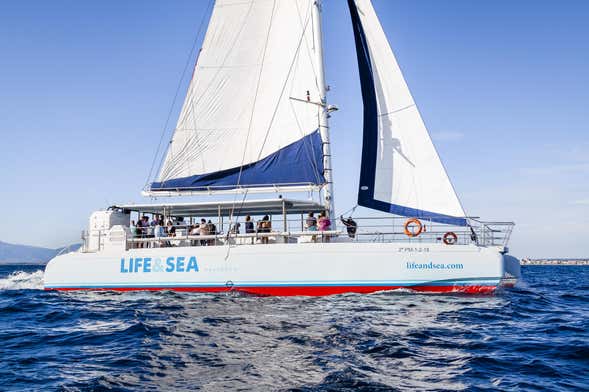 Paseo en catamarán por la bahía de Palma con barbacoa