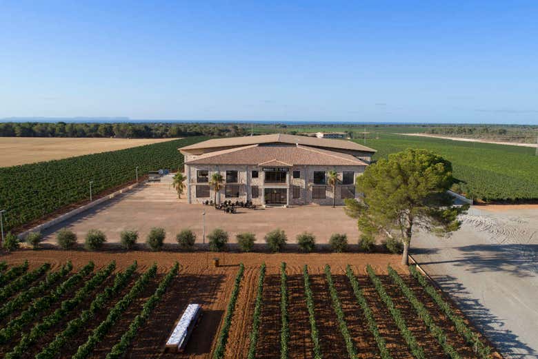 Bodegas Vi rei