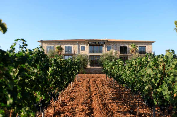 Visita a las bodegas Vi Rei