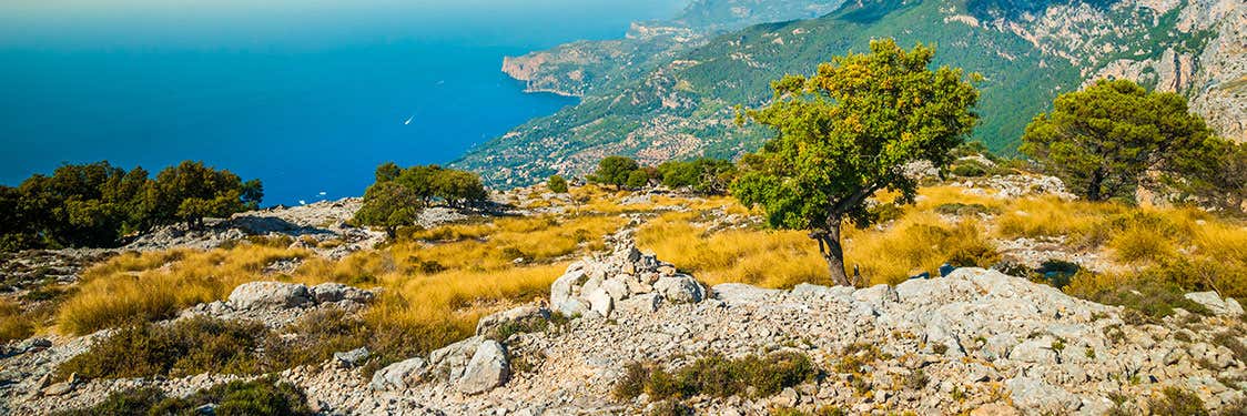 Sierra de Tramontana