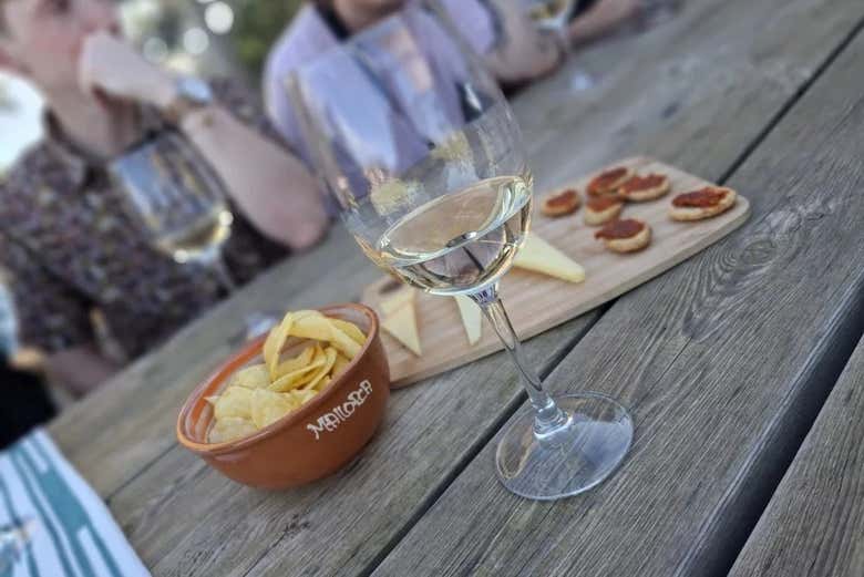 Degustaremos deliciosos vinos maridados con diferentes tapas