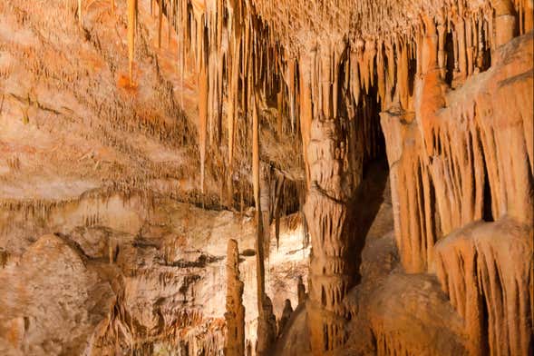 Espeleología marina en la Cova des Coloms