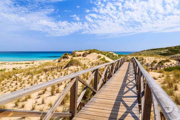 Excursión a Cala Agulla y Cala Moltó