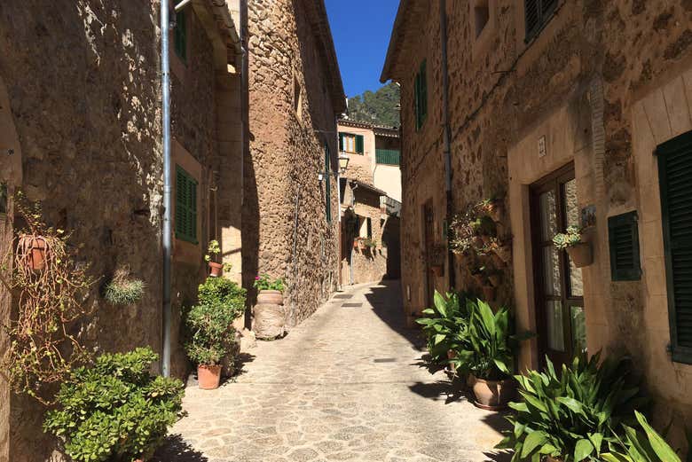 Recorriendo Valldemosa