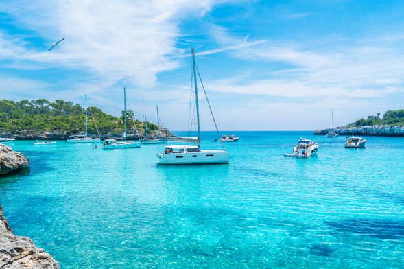 Paseo en catamarán por la bahía de Palma