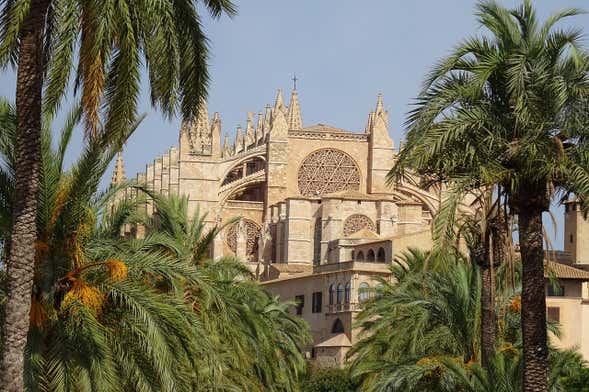 Tour por Palma para cruceros